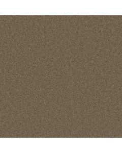 Dreamweaver Broadcast Honey Beige Carpet - DW-3025-510