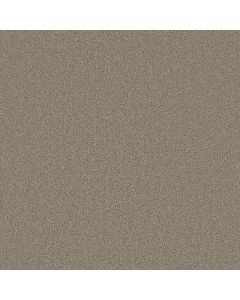 Dreamweaver Broadcast Flax Beige Carpet - DW-3025-535