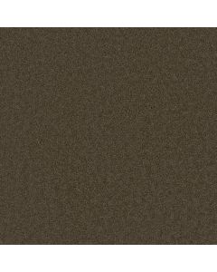 Dreamweaver Broadcast Latte Carpet - DW-3025-550