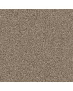 Dreamweaver Broadcast Sawgrass Carpet - DW-3025-701