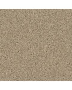 Dreamweaver Broadcast Cookie Dough Carpet - DW-3025-705