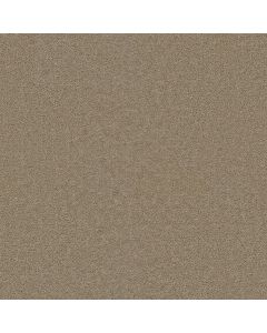 Dreamweaver Broadcast Caramel Carpet - DW-3025-710