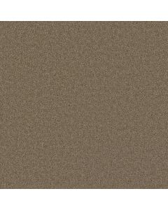 Dreamweaver Broadcast Sandstone Carpet - DW-3025-715