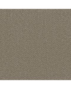 Dreamweaver Broadcast Almond Carpet - DW-3025-782