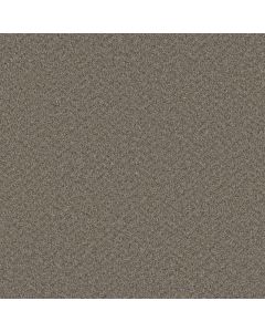Dreamweaver Broadcast Cinder Carpet - DW-3025-835