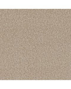 Dreamweaver Broadcast Plus Cameo Carpet - DW-3125-174