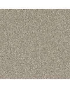 Dreamweaver Broadcast Plus Clam Shell Carpet - DW-3125-182