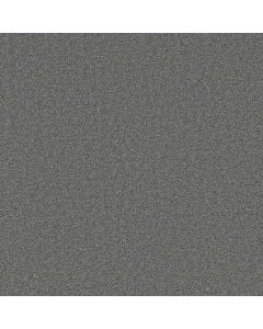 Dreamweaver Broadcast Plus Granite Peaks Carpet - DW-3125-190