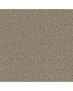 Dreamweaver Broadcast Plus Siesta Carpet - DW-3125-2068