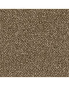Dreamweaver Broadcast Plus Mocha Beige Carpet - DW-3125-2351