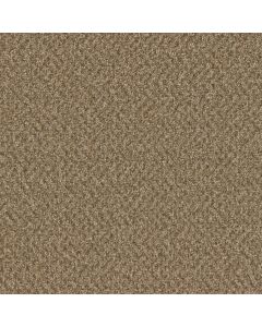 Dreamweaver Broadcast Plus Aged Leather Carpet - DW-3125-2418