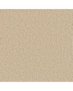 Dreamweaver Broadcast Plus Classic Ivory Carpet - DW-3125-4193