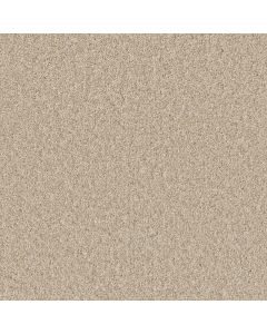Dreamweaver Broadcast Plus Light Bisque Carpet - DW-3125-4484