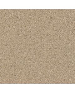 Dreamweaver Broadcast Plus Frosted Clay Carpet - DW-3125-4522