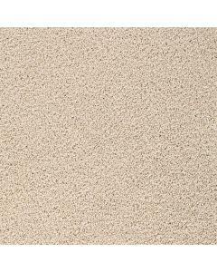Dreamweaver Broadcast Plus Cookie Dough Carpet - DW-3125-705