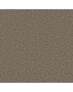 Dreamweaver Broadcast Plus Cinder Carpet - DW-3125-835