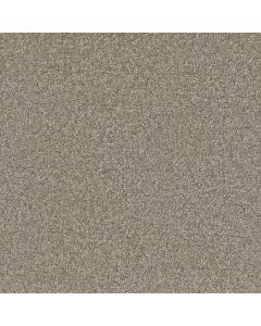 Dreamweaver Broadcast Plus Chrome Carpet - DW-3125-927
