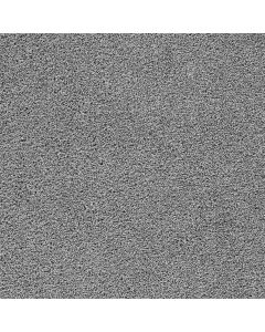 Dreamweaver Broadcast Plus Bayside Carpet - DW-3125-956