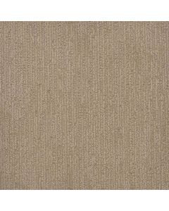 Dreamweaver Surfside Almond Bark Carpet - DW-3228-2025