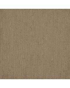 Dreamweaver Surfside Tanglewood Carpet - DW-3228-5069