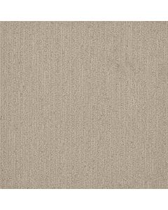 Dreamweaver Surfside Blizzard Blast Carpet - DW-3228-5110