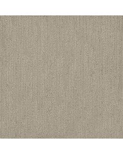 Dreamweaver Surfside Snow Canyon Carpet - DW-3228-5170
