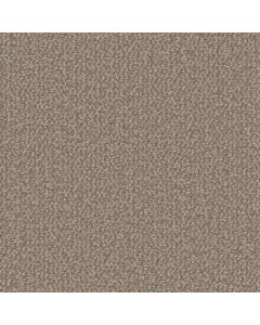 Dreamweaver Interstellar Pebble Hill Carpet - DW-3236-2081