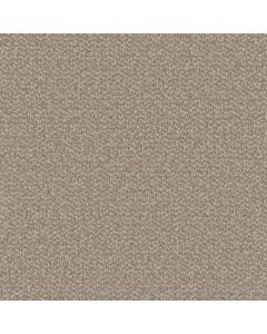 Dreamweaver Interstellar Ivory Coast Carpet - DW-3236-2143