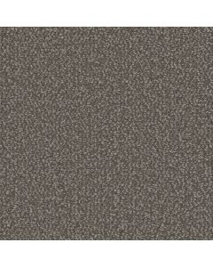 Dreamweaver Interstellar Panther Carpet - DW-3236-2238