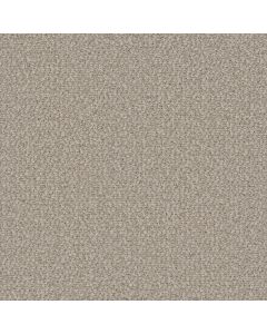 Dreamweaver Interstellar Bleached Wheat Carpet - DW-3236-2279