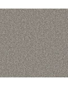 Dreamweaver Interstellar Pearl Glacier Carpet - DW-3236-2365