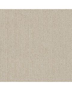 Dreamweaver Venetian Frosted Coconut Carpet - DW-3335-4920