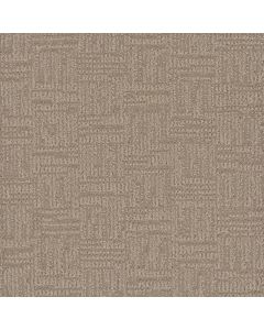 Dreamweaver Mystique Pale Birch Carpet - DW-3575-5040