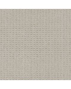 Dreamweaver Perfect Balance Pearly Lace Carpet - DW-3585-2233