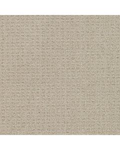 Dreamweaver Perfect Balance Light Wheat Carpet - DW-3585-2586