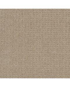Dreamweaver Perfect Balance Sand Dance Carpet - DW-3585-2604
