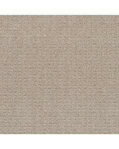 Dreamweaver Perfect Balance Papaya Carpet - DW-3585-2655