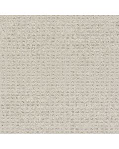 Dreamweaver Perfect Balance Wishful Carpet - DW-3585-2723
