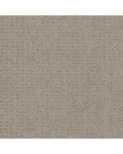 Dreamweaver Perfect Balance Warm Putty Carpet - DW-3585-2732