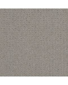 Dreamweaver Perfect Balance Ravishing Carpet - DW-3585-2867