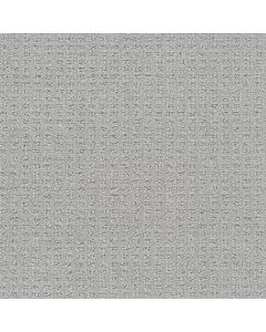 Dreamweaver Perfect Balance Haven Carpet - DW-3585-2982