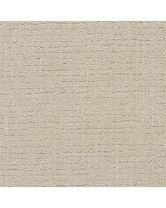 Dreamweaver Natural Attraction Joyous Carpet - DW-3590-2069