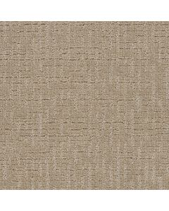 Dreamweaver Natural Attraction Sand Dance Carpet - DW-3590-2604
