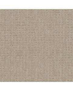 Dreamweaver Natural Attraction Papaya Carpet - DW-3590-2655