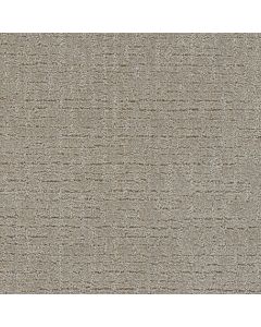 Dreamweaver Natural Attraction Warm Putty Carpet - DW-3590-2732