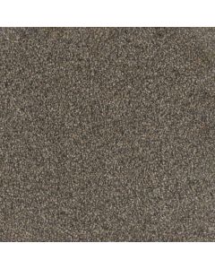 Dreamweaver Trendsetter I Imperial Sable Carpet - DW-3640-134
