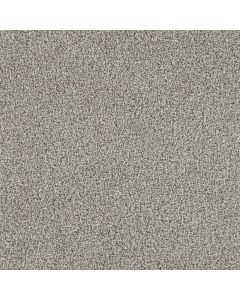 Dreamweaver Trendsetter I Antique Cameo Carpet - DW-3640-386