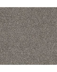 Dreamweaver Trendsetter I Luna Pearl Carpet - DW-3640-399