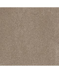 Dreamweaver Trendsetter I Oxford Carpet - DW-3640-720