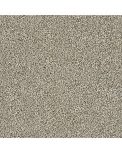 Dreamweaver Trendsetter I Seashells Carpet - DW-3640-758